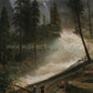 tree painting by albert bierstadt